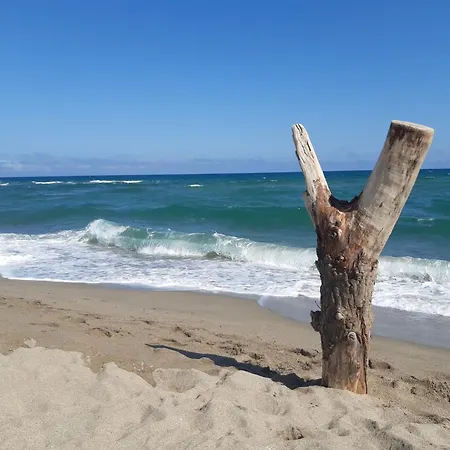 Villa Port Leucate: 6 Pers. Face A La Mer, Cosy, Proche Activites - Fr-1-798-40 *